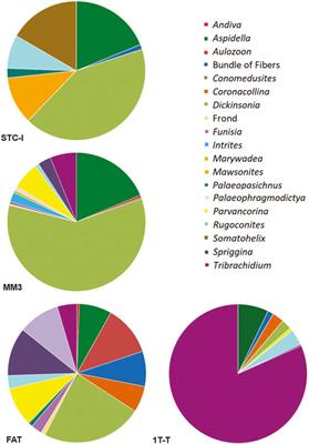 What Happens Between Depositional Events, Stays Between Depositional Events: The Significance of Organic Mat Surfaces in the Capture of Ediacara Communities and the Sedimentary Rocks That Preserve Them